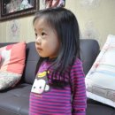 예슬이네과수원 | 예슬이네 과수원 명품 프리미엄 사과즙 들여가세요 ~