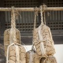 평촌자생한의원 이미지