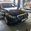 합성견인 이미지