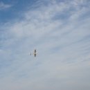 (주)락소프트 이미지