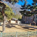 해마루초등학교 | 왕과사는남자/단종/엄흥도/사육신하위지/생육신이맹전/구미역사논술/해마루초한우리