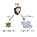처그 스트라우스 증후군[Churg strauss syndrome]기타 이미지