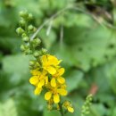 선학초등학교 이미지