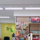 더 데일리 펫샵 이미지