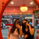 장호항 홍문어 이미지