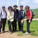 야생화답사 이미지