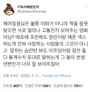 헤어질 결심에 탕웨이 박해일만 나오는거 아니라고. 이상한 데에 꽂힌 트위터 모음 (스포주의) 이미지