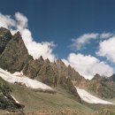 돈키호테 로시난테 카카오 검색결과