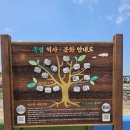 바다위의정원 | 고흥 쑥섬 여행 후기｜배 예약 필수! 수국과 버들 마편초가 아름다운 바다 위의 비밀정원