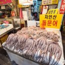 함안카타운 이미지