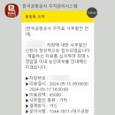 추석연휴 제주 여행 고투어 에어카텔 제주도가볼만한곳 가족여행 제주홀릭뮤지엄 애월항포구횟집 제주횟집