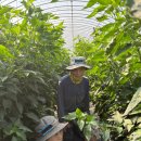 함평군농업기술센터 이미지