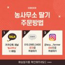 농디 | 딸기전문가 &#39;농디&#39;가 알려주는 고당도 신선한 딸기 고르는 법🍓