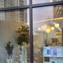 세븐일레븐 옥정노르웨이숲점 이미지