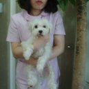 금쪽같은 내새끼 동물병원 이미지