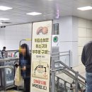 꽈배기프랜즈 | 대전 성심당 대전역점 주말 웨이팅 빵 종류 후기