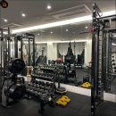 차선생바디팩토리 시즌2 이미지