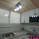 인동초교 이미지