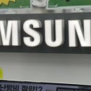 쭈몰
