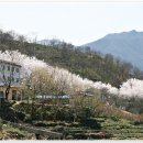 쌍계사 - 1839 | 쌍계사