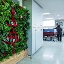 안양시청 이미지