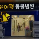 하이펫동물병원 이미지