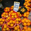 한농상회 이미지