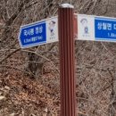 무성사 이미지