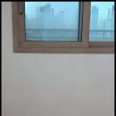 바른도배