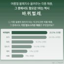 디자인잡스 | 바퀴살충제 캐치맨 잡스 울트라에어로솔, 좁은 틈새까지 완벽하게 공략하는 바퀴벌레 살충제 사용 후기