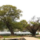 원포마을회관 이미지