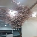 신다연국밥 이미지