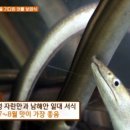 군령포마을 이미지