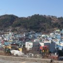 감정초등학교 이미지