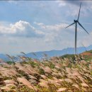 경기목장 이미지