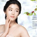 더화이트B Daum카페