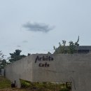아르비토 | [사천 카페] 오션뷰가 아름다운 '아르비토(Arbito)' 방문 후기! (주차, 메뉴 등)