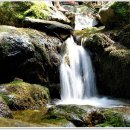 물흐르듯 이미지