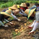 고길천로 이미지