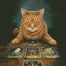 타로 실전리딩반 이미지