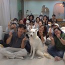 풍이농장 이미지