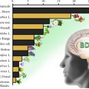Botanicals as Modulators of Neuroplasticity: Focus on BDNF 이미지