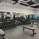 팀마린휘트니스 이미지