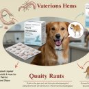 제일동물약품 이미지