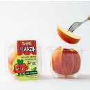 주식회사 푸드팩토리