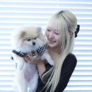 코코네 스튜디오