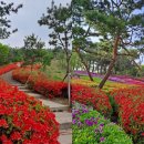 그린스타약국 이미지