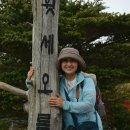 한라산 선작지왓 이미지