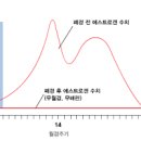 갱년기 증상기간 더위, 두근거림 원인 및 해결 총정리 이미지