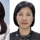 리드인 이미지